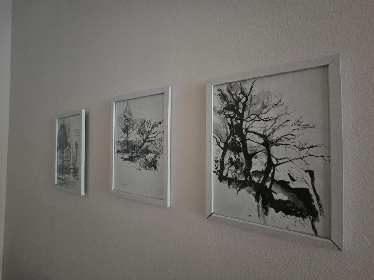 Apartman Zeljko モスタル エクステリア 写真